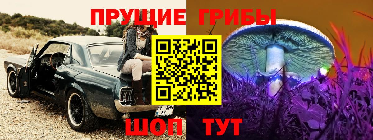 Галлюциногенные грибы Cubensis Реутов