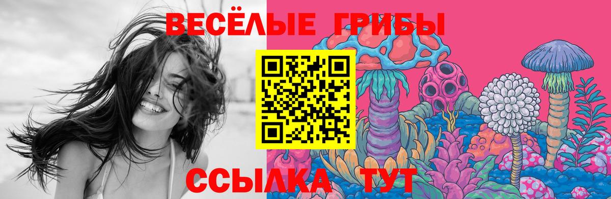 Реутов  Галлюциногенные грибы MAGIC MUSHROOMS  Вход с VPN 